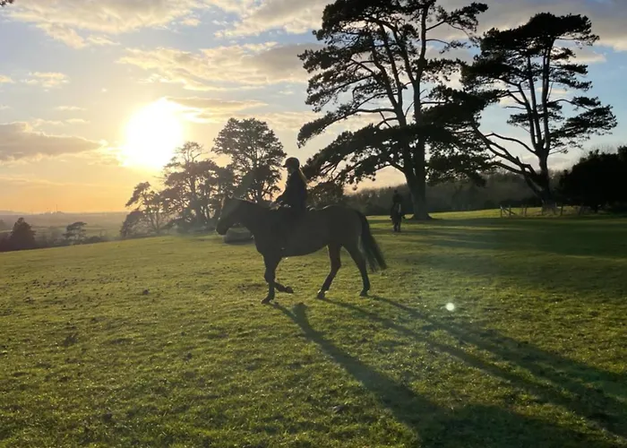 Daire Pine Ridge 1 Bristol